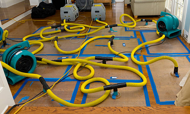 Professional Crawl Space Water Removal technician working in Carteret, NJ